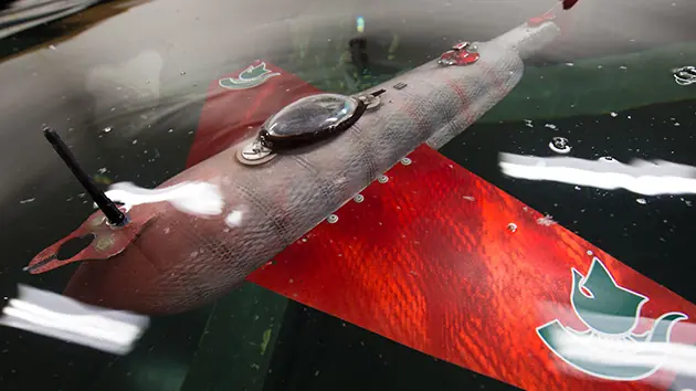 Crean un robot-espía que se desliza como pez en el agua