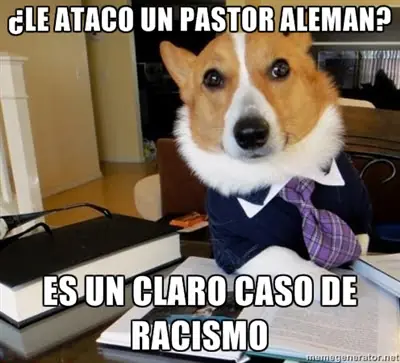 Algo de humor Para comenzar el Dia