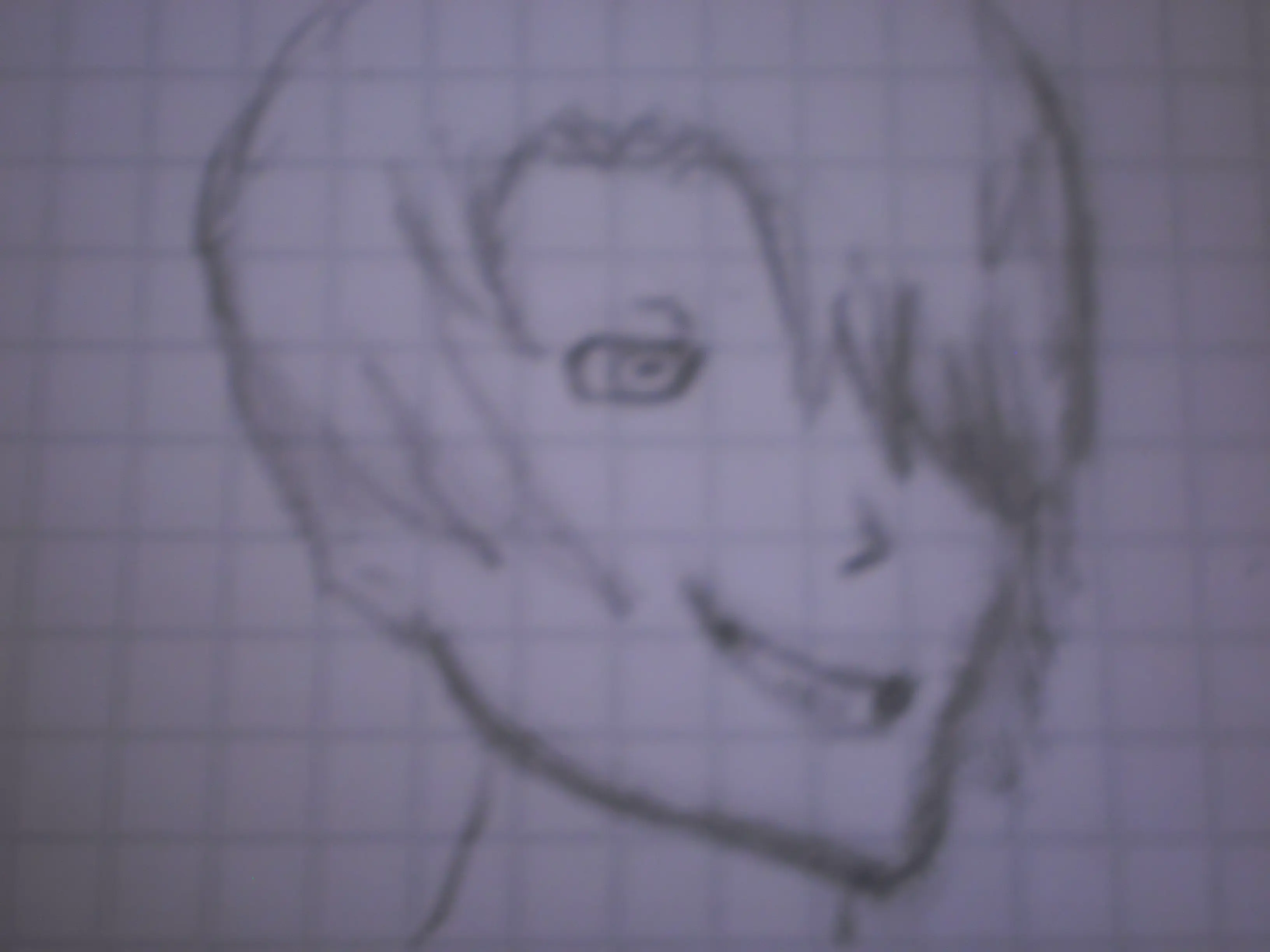 Mis últimos dibujos