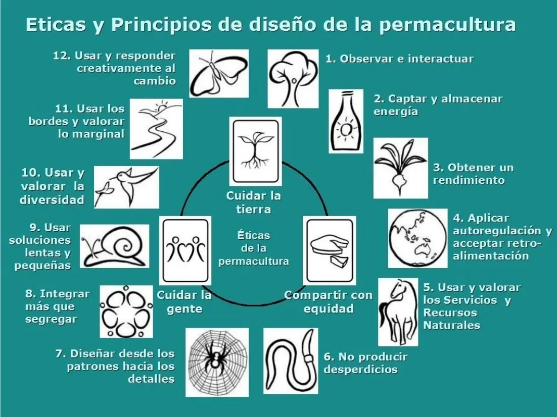 Permacultura Santiago Del Estero