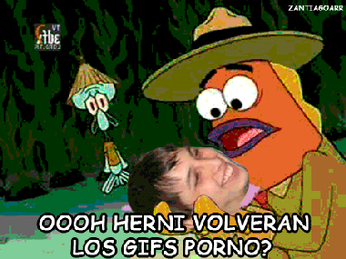 gifs