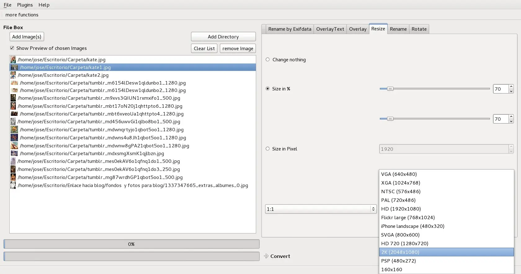 Edición de imágenes de forma masiva con EasyImageSizer
