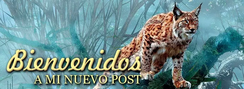 45 Fotos Inexplicables