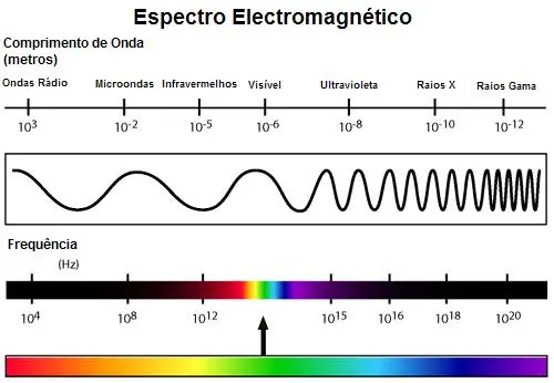 Colores: ¿Sabías que...?