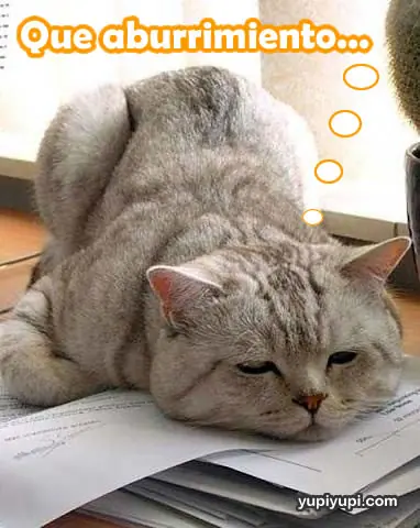 Que hacer cuando estas aburrido??
