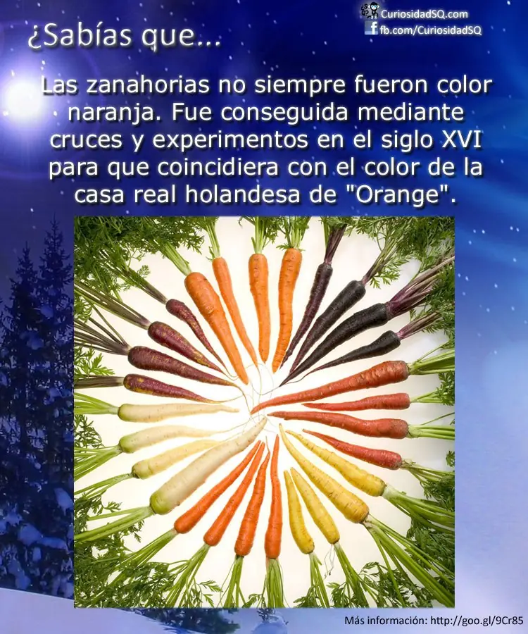 curiosidades