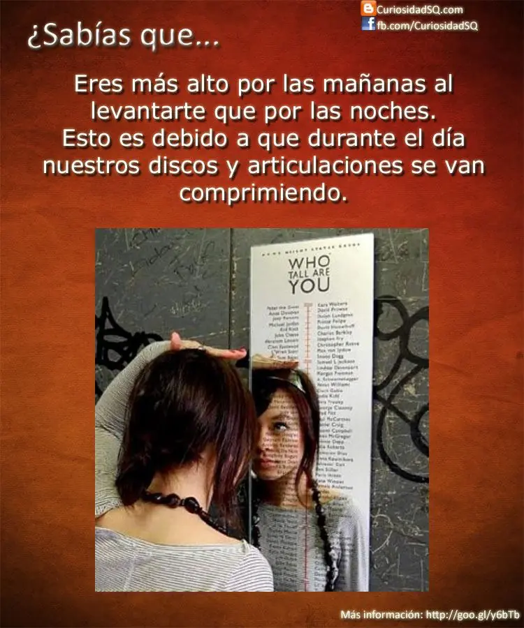 Datos curiosos...