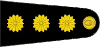 Coronel Mohamed Alí Seineldín - Mi homenaje