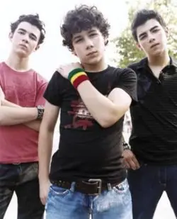 Jonas Brothers segun frikipedia