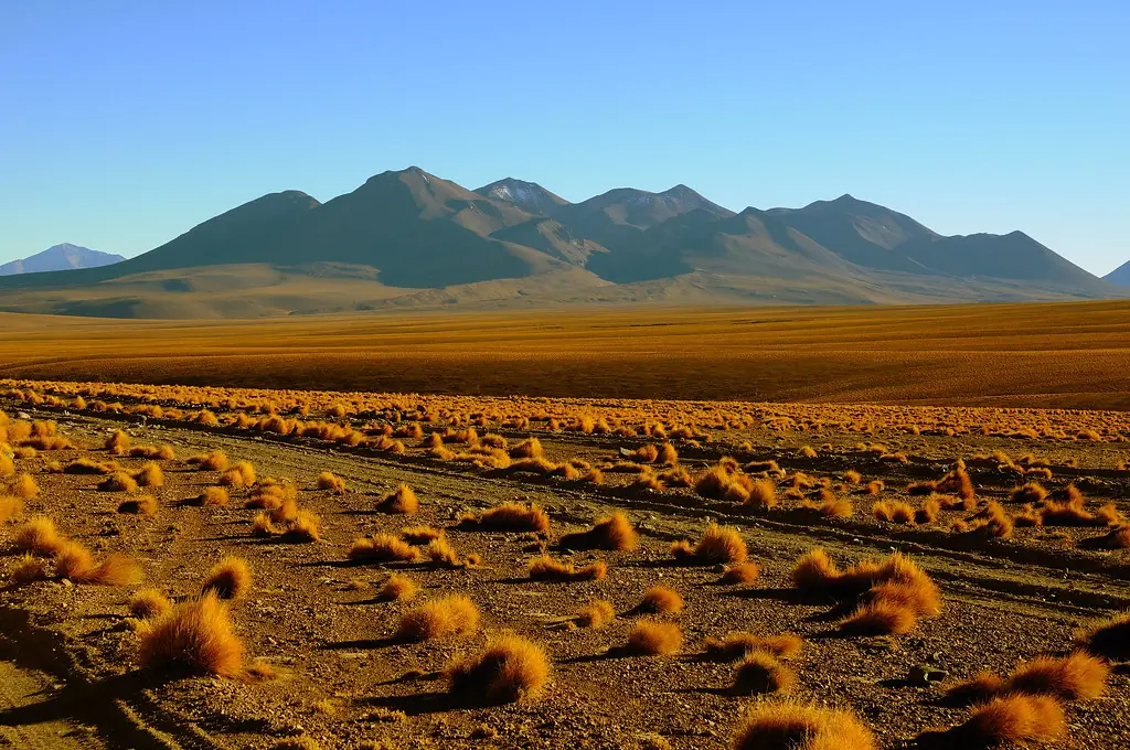 bolivia