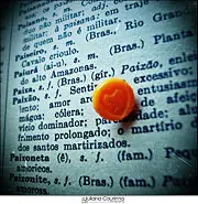 Como ampliar tu vocabulario