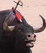 Corridas de Toros: Matar por diversion