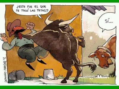 Humor para una tarde de domingo