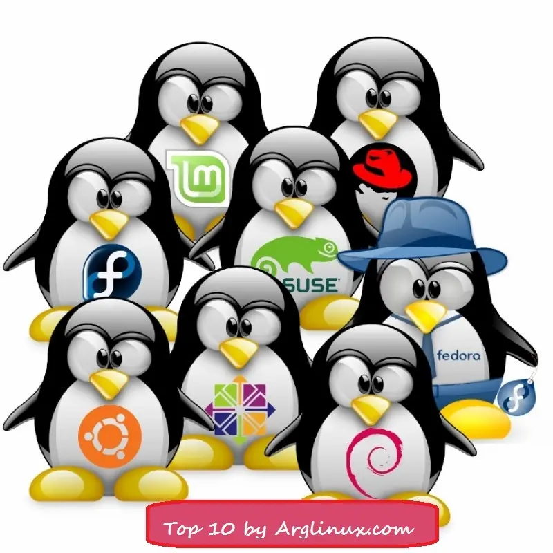 Top 10 De las mejores Distribuciones de Enero 2013