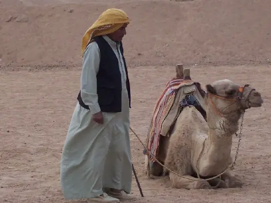 La RAE quitará referencias racistas del diccionario