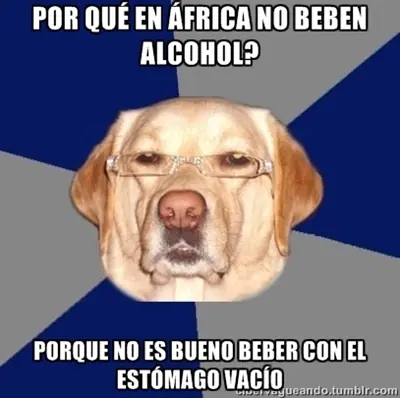 perro meme megapost