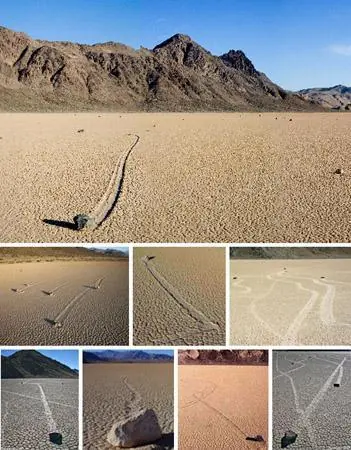 7 Increíbles Anomalías De La Naturaleza