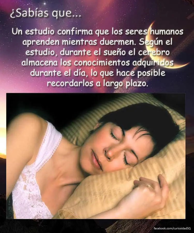 10 cosas que no sabias(datos curiosos) parte 12