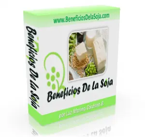 Beneficios De La Soja - Diversidad De Recetas De Soya