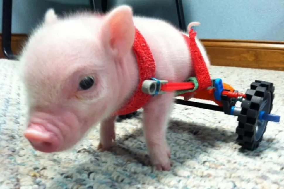 Atajos de facebook con el teclado