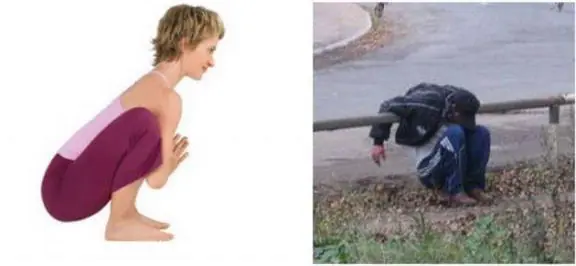 sabias que?.
