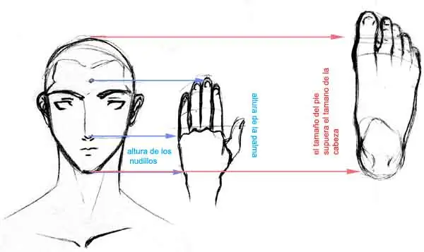 te cuesta dibujar manos? entra.