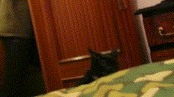 Gifs y imagenes del rubis!