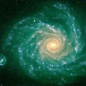 Los 13 Signos del Zodiaco