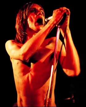 Iggy Pop saltó del escenario y el público se apartó [vide