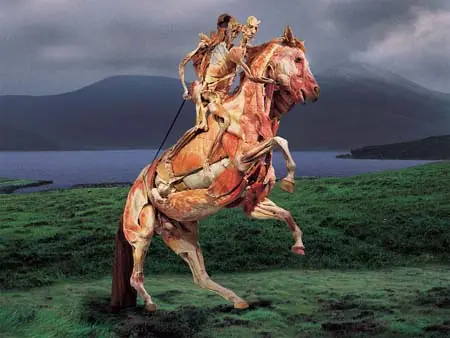 El arte de Gunther von Hagens