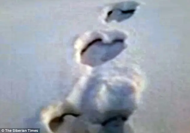 Afirman ver al yeti en siberia