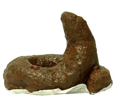 ¿¿¿Tu Perro Come Caca??? Pues Lee Esto