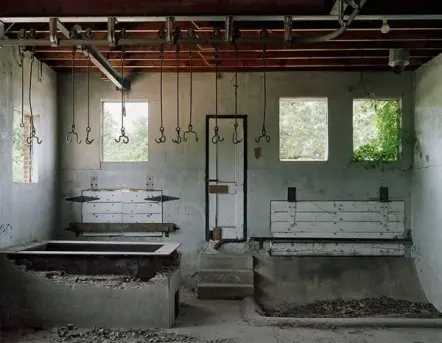 abandonado