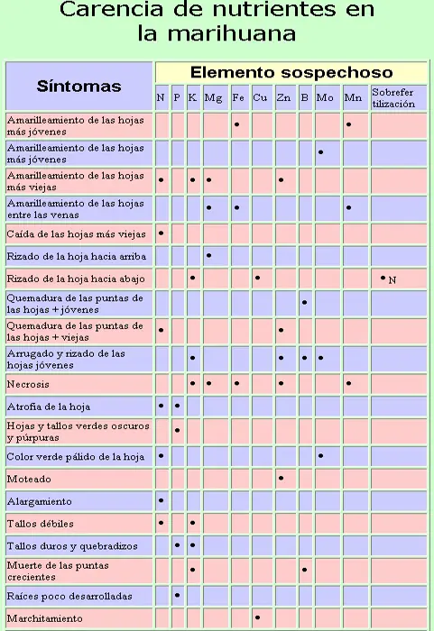 Cultivo autoflorecientes (cogollo automatico)