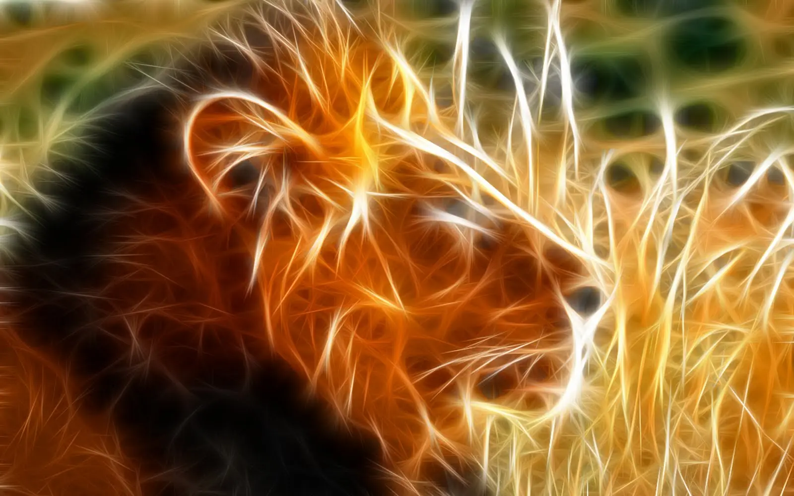 Wallpapers HD para tu Pc!!!