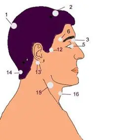 Puntos Vitales del Cuerpo Humano (Combate)