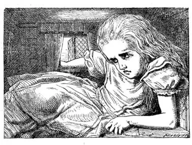Sindrome de Alicia en el pais de las maravillas