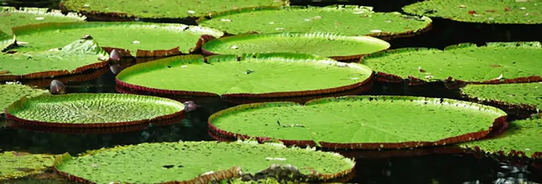 Colombia el post de turismo que se merece