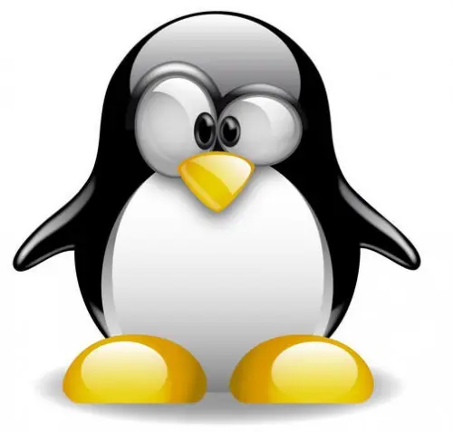 Las 7 mejores distros… según Linux.com