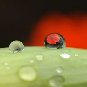 Descubren una nueva fase del agua