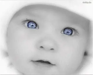 Derecho a la vida...