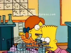 Los Simpsons: errores y curiosidades de doblaje [Temp. 1-3]