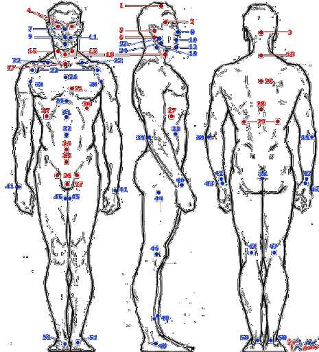Puntos vitales del cuerpo (KYUSHO)