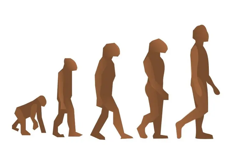 Creacion o Evolucion del hombre (resumen)