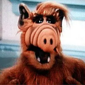 mi primer post : Mi perro se parece a ALF