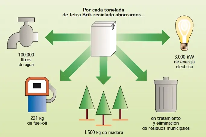 bolsos