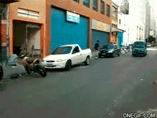 Gifs graciosos!