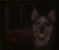 Algunas creepypasta clásicas :D Algunas creepypasta clásicas :D