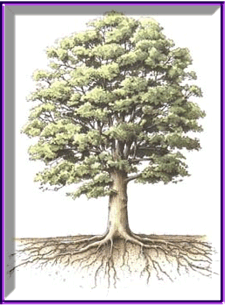 A ver si estan locos: El Test del Arbol (Parte 1)