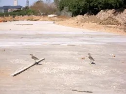 Te acordás de este lugar?